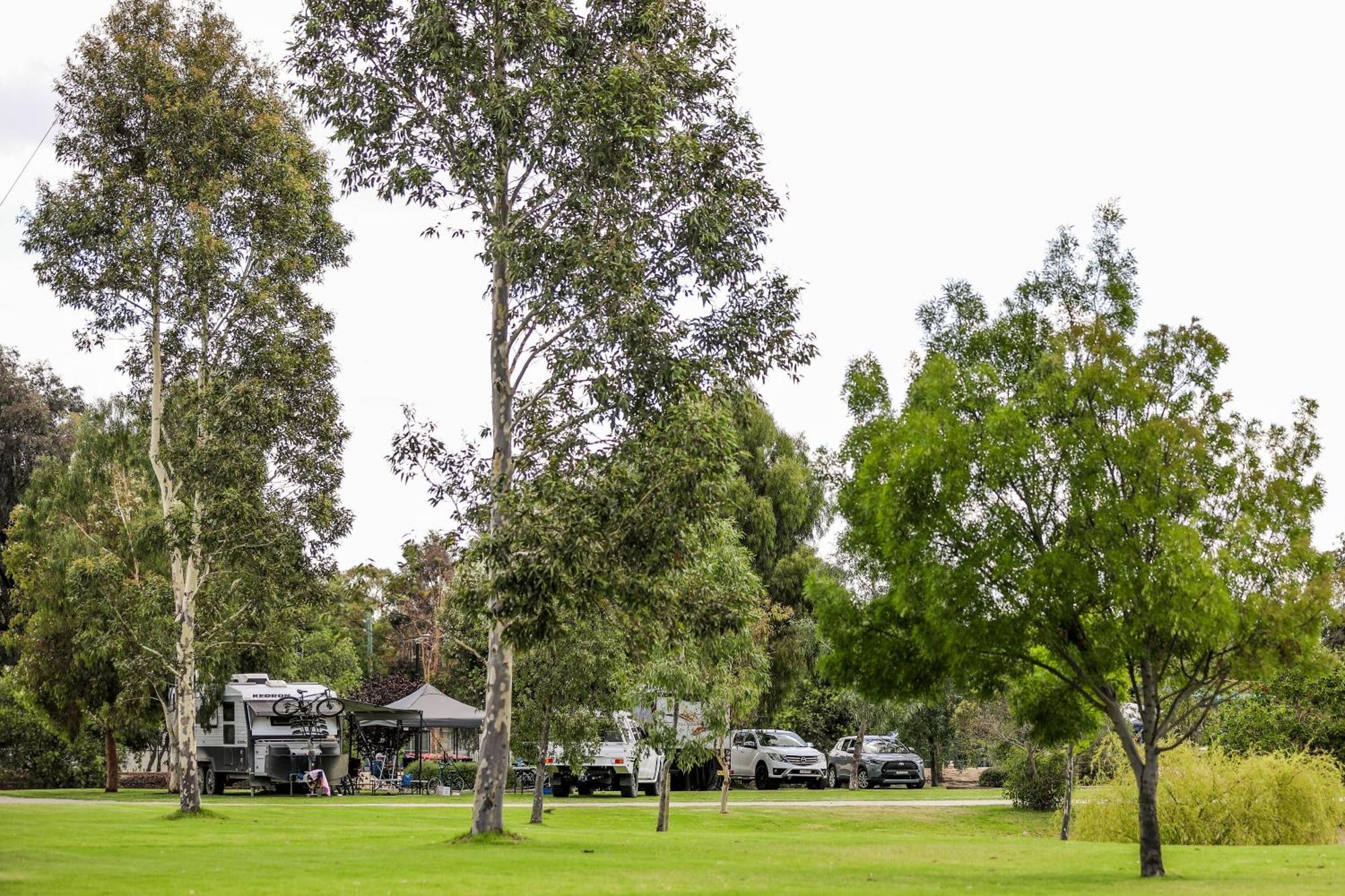 Discovery Parks - Moama Waters Extérieur photo